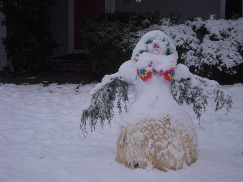 Image: Island Babe Snowgirl — You might notice the grass skirt around the bottom.