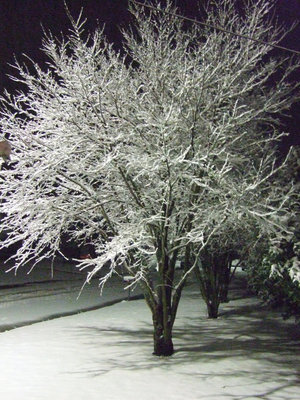 Image: Snow in the night — This neighborhood became frozen on Friday.