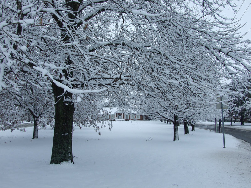 Image: The city library — Dunlap Library looks like a postcard you can mail to your friends.