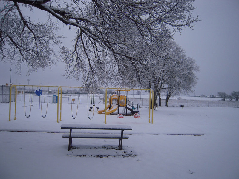 Image: The city park — The city park is quiet and still.