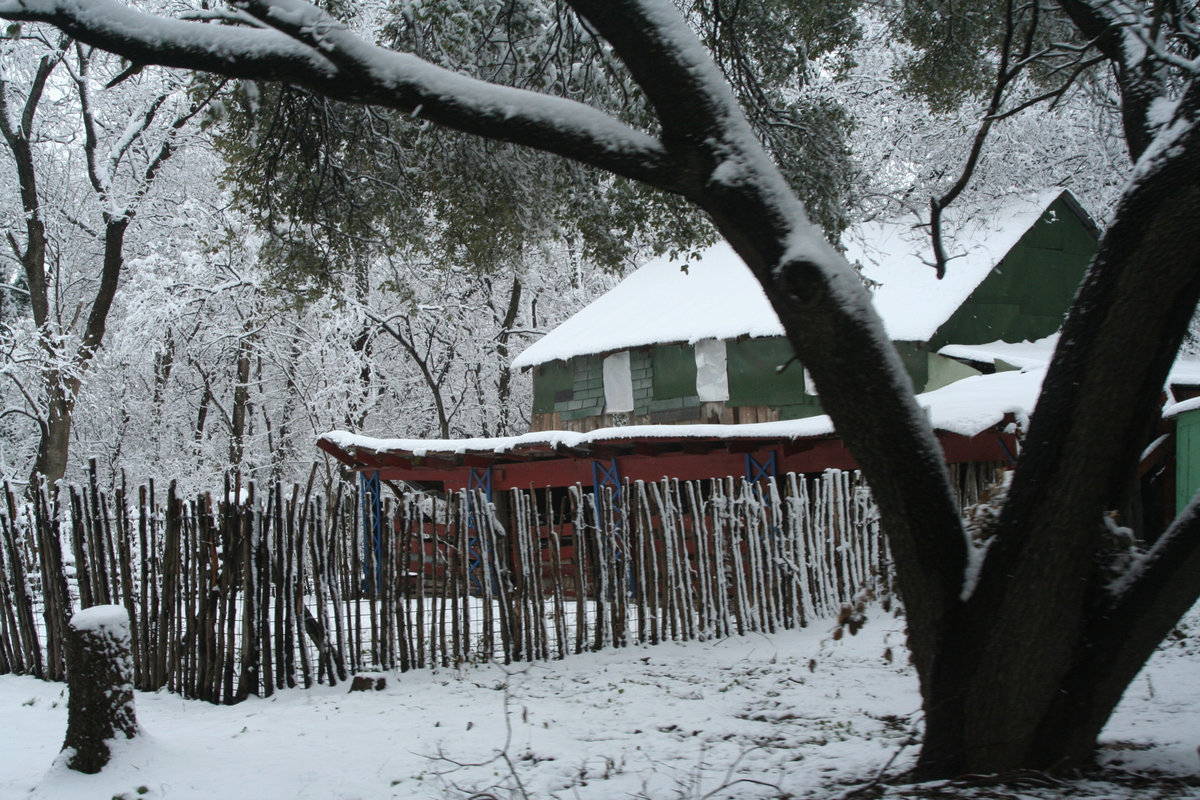 Image: A house in the woods — Maybe not Laura Ingalls but it creates an atmosphere for the imagination.