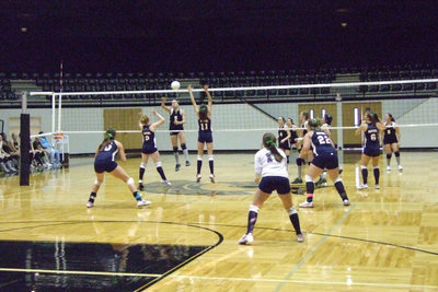 Image: Lady Eagles at net — The Lady Eagles fight The Lady Gladiators.
