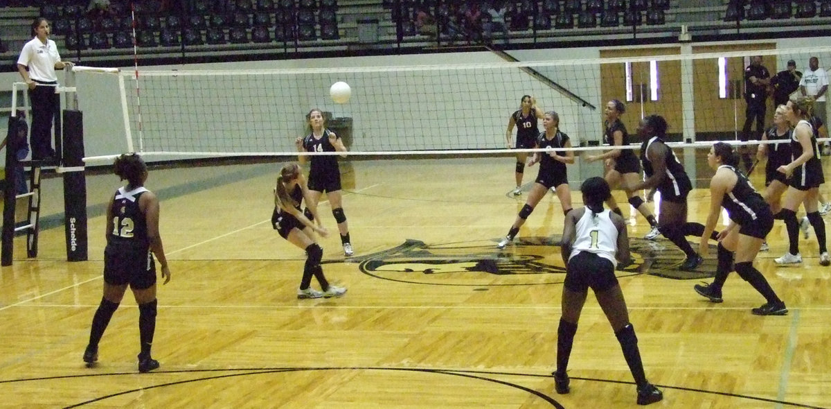 Image: Drew gets ready — Senior, Drew Windham hits the ball over the net.