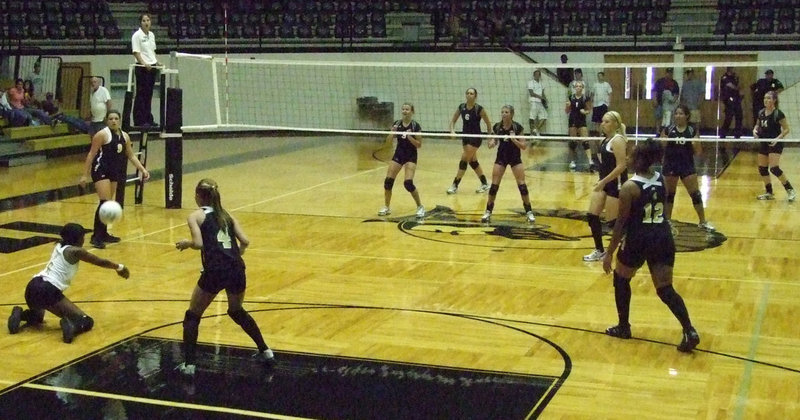 Image: Copeland backs up her team — Jameka Copeland gets down to set the ball up.