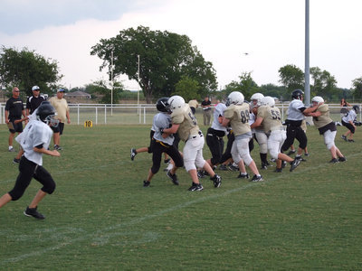 Image: The defensive line — The line stops the Bulldogs from crossing the mark.