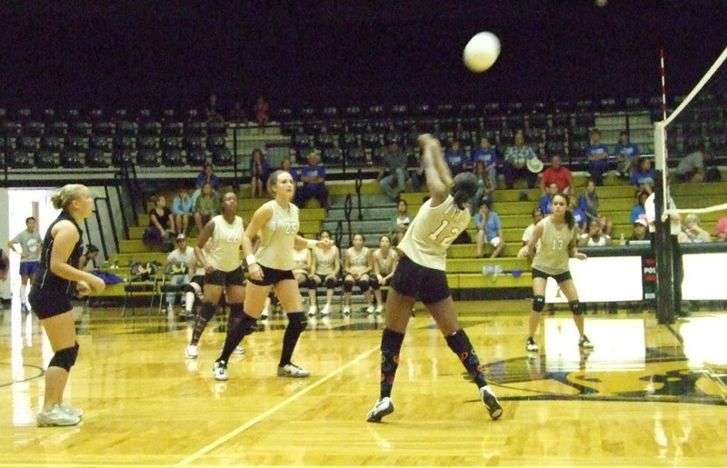 Image: Birdsong sets it up — Chante Birdsong sets the ball for Brianna Perry.