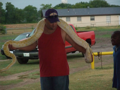 Image: Python is a hit — This pet python was a big hit at the IYAA Baseball/Softball Party.