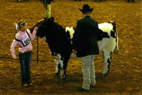 Image: Bailey Eubank and “T-Bone”  — Bailey and “T-Bone” in the show ring at the Fort Worth Stock Show.