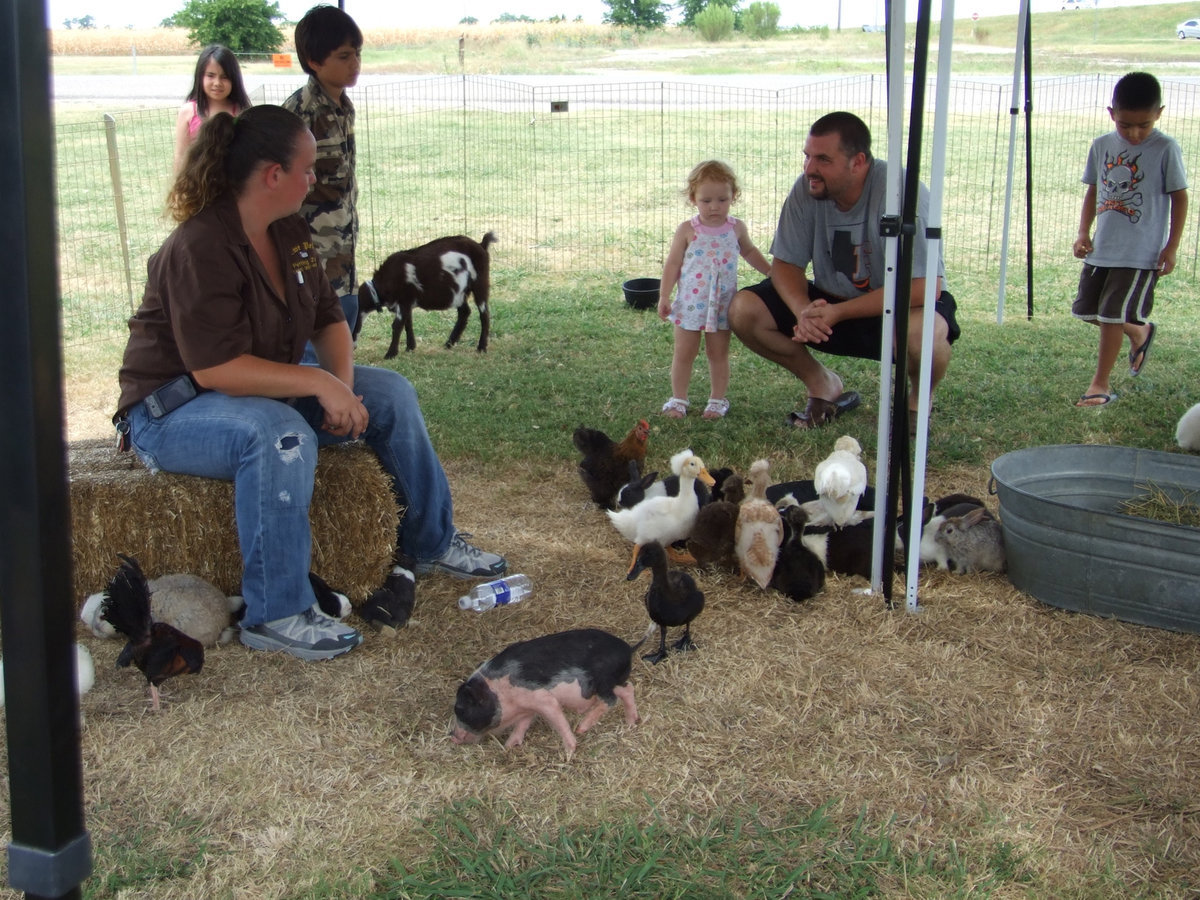 Image: Children at the Zoo — Lots of kids and animals, what could be more fun?