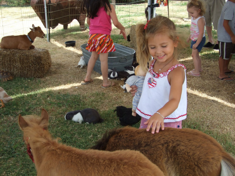 Image: Grace Again — Grace was nice enough to pose for me to take her picture petting the miniature horse.