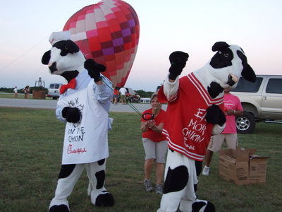 Image: Eat Mor Chikin Cows — Even the “Eat Mor Chikin Cows” were there.