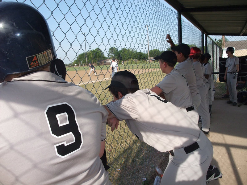 Image: Intense at the fence — The Italy Eagledogs study the Whitney pitcher.