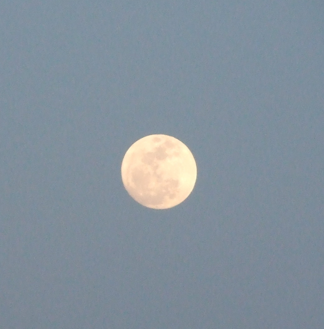 Image: It was a full moon — Is it a baseball or a full moon?