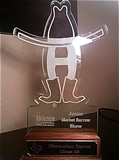Image: Class winner trophy — Morgan Cockerham received this Champion Duroc, Class 68 trophy during the Houston Livestock Show and Rodeo after her swine, Kinsler, amazed the judge and earned 1st in class.