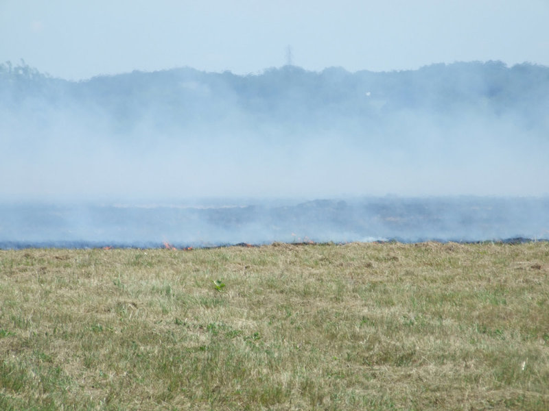 Image: Nothing but Smoke — The wind was really blowing the smoke.