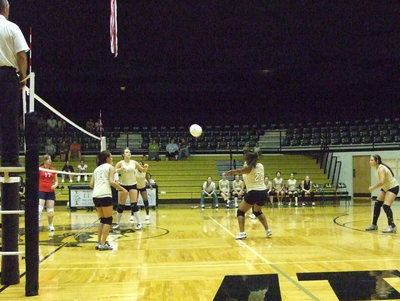 Image: Burkhalter sets it up — Brianna Burkhalter has fun when she plays volleyball.