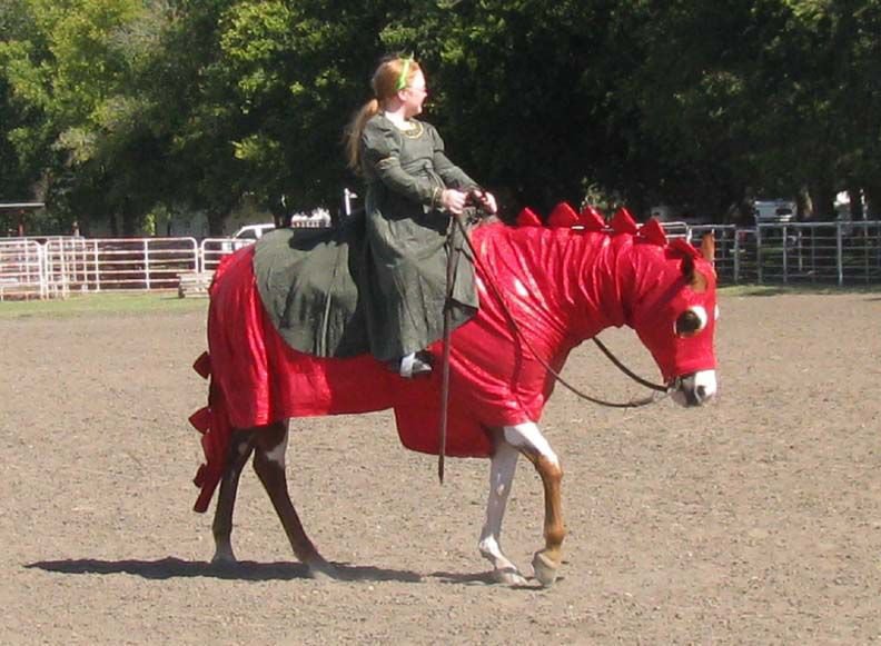 Image: Costume contest winner — Brooke Lewis of Ennis and her horse Ms Cool Fleet won “Best Overall” in the costume contest during the 2008 show for their depiction of Princess Fiona and a dragon from the movie Shrek.