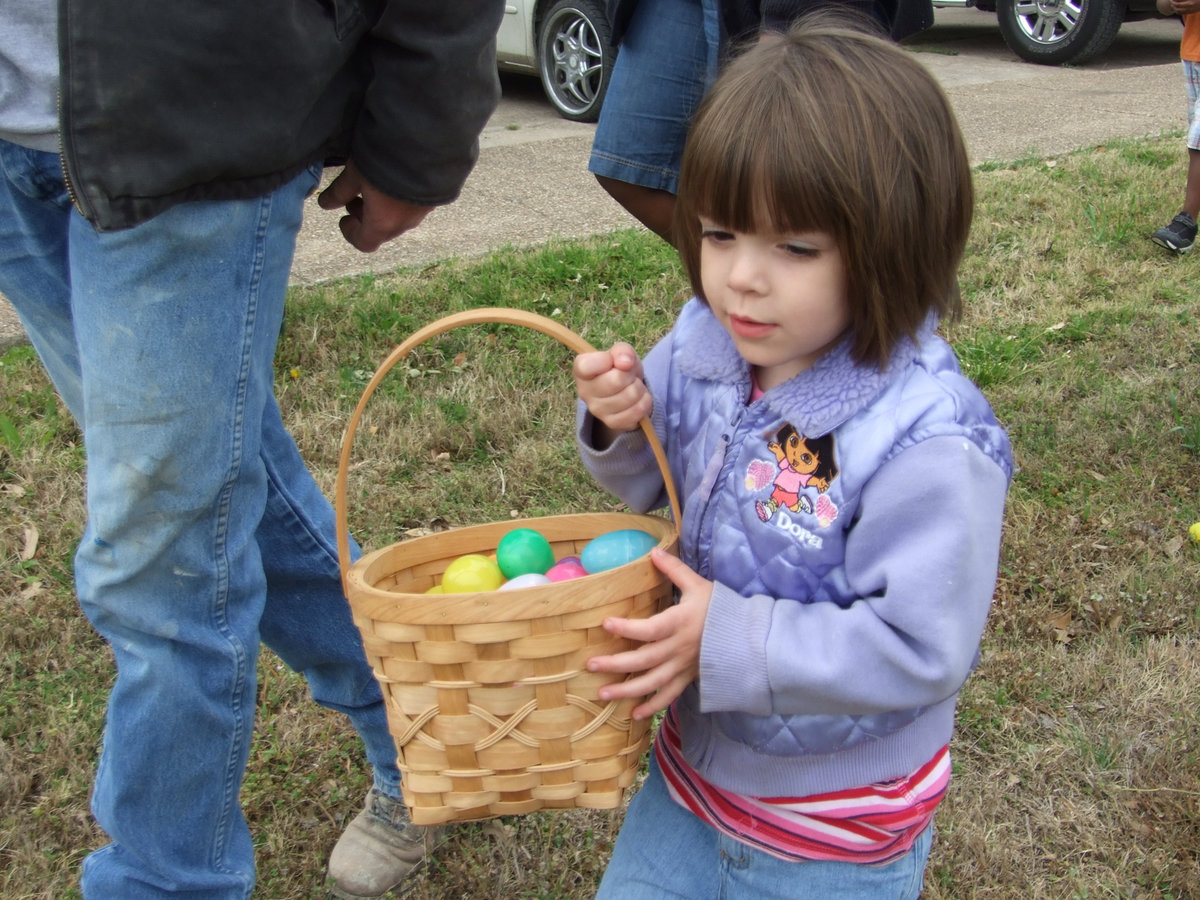 Image: Lots of Eggs — This little one is busy finding lots of eggs.