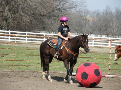 Image: ECEYA member Zoe Appleman of Palmer learns the basics of equine soccer at the first youth meeting of the year.