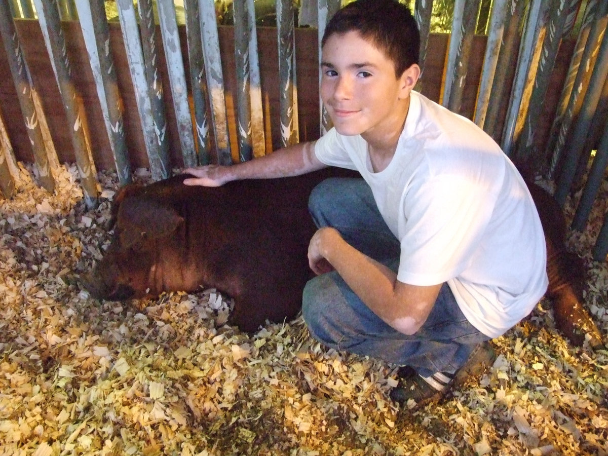 Image: Brandon and his hog — Brandon Perales gets his hog ready for the show.