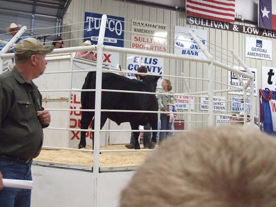Image: Dan and Bailey — Dan Crownover with the help of Bailey Eubank show his Reserve Champion Steer at the sale on Saturday.