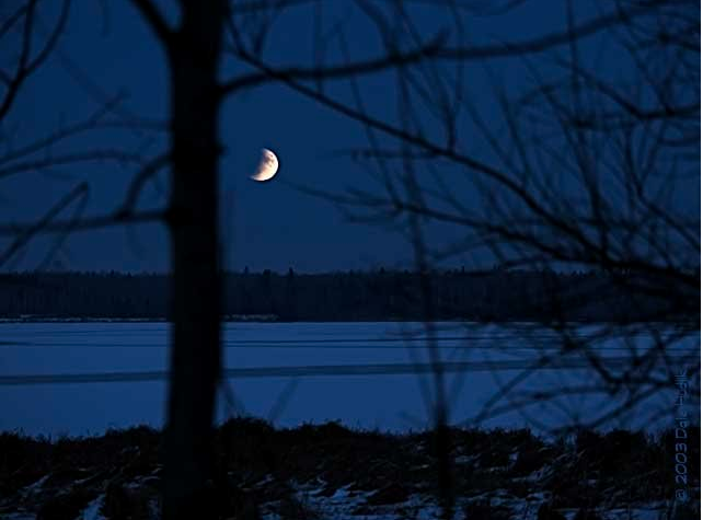 Image: Elk Island National Park, Canada