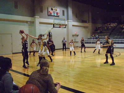 Image: Richards works the ball — Megan tries to pass between the ears of a Lady Wampus Cat.