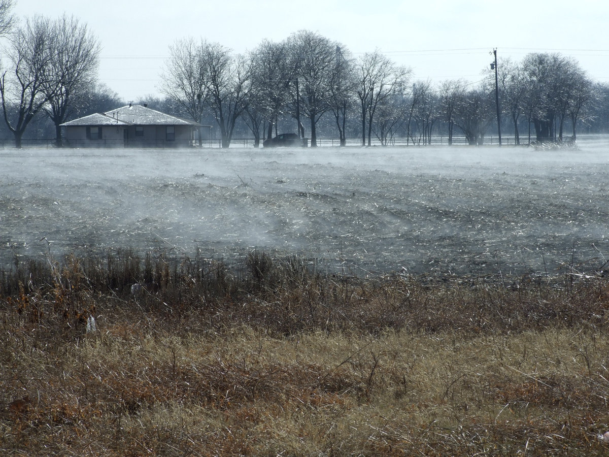 Image: Steam fog in Italy — On Highway 34, you could see the fog coming up from the warm earth.