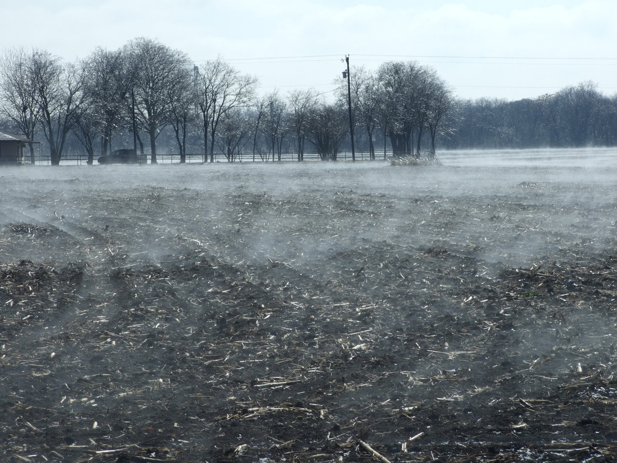 Image: Glistening ice in the trees — Germania Insurance was the location of this wonderful scene on Wednesday.