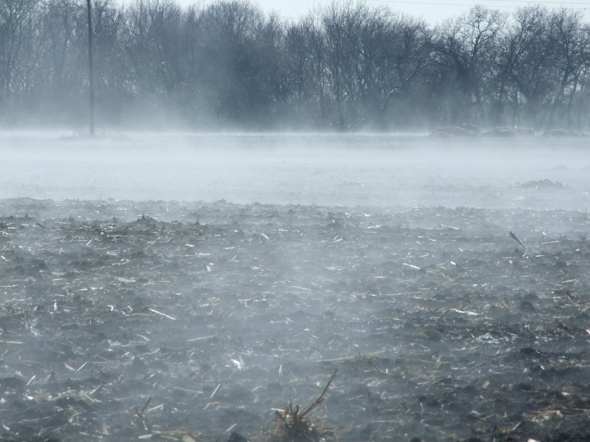 Image: Steam fog rises — The air is cooler than the earth which creates the fog.