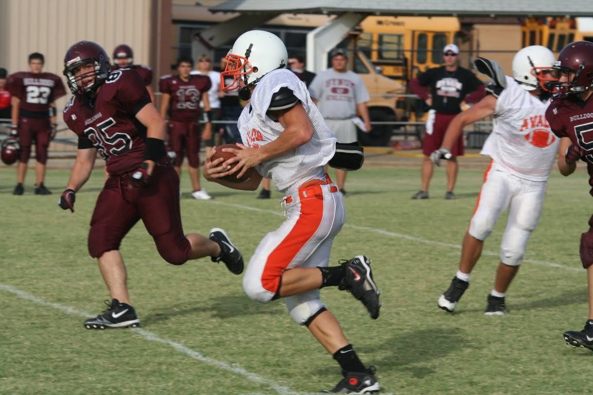 Image: The race is on — Which is faster, an Eagle or a Bulldog?