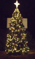 Image: A beautiful memory — The community came together to see the lighting of the Christmas tree downtown.