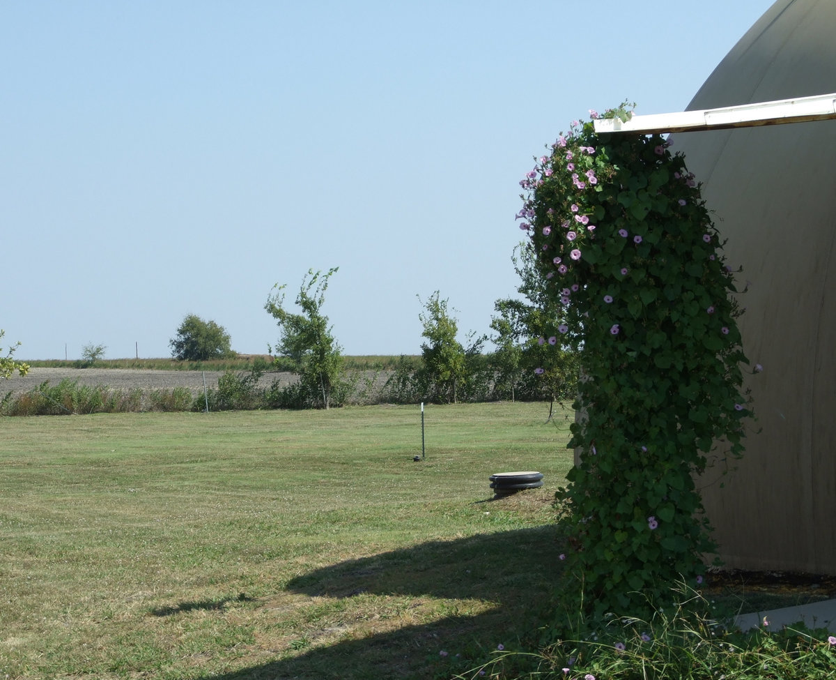 Image: Good morning, Glory — This dome allows vines to grow up the porch columns for added beauty.