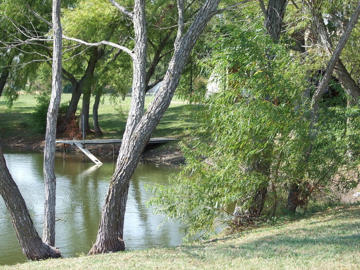 Image: Even the turtles enjoy — Two turtles enjoy the pond behind 2 domes.