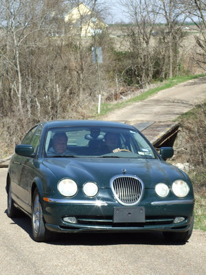 Image: A Jaguar?