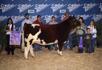 Image: Bailey DeBorde — Bailey won a $10,000 scholarship at the recent San Antonio Livestock Exposition.