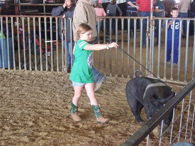 Image: Like a pro — Haylee Mathers handles her swine as if she’s been doing this her whole life.