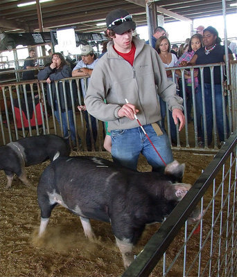 Image: Cloud of dust — Jon Walton walks his swine as the tandem get ready for the Friday show.