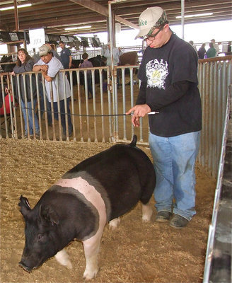 Image: Blake — With his family looking on, Blake Vega guides his swine around the pen for a leisurely stroll.