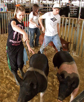 Image: All in the family — Brooke DeBorde, Bailey DeBorde (in back), and Justin Wood walk their swine together.