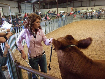 Image: In the ring — Bailey Bumpus is a darling of the show ring.