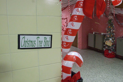 Image: Christmas Tree Blvd — 10th grade had Christmas Tree Blvd for their theme.
