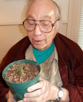 Image: Horticulturist Ervin Byers — Ervin Byers marvels at the pace at which his plant is growing using mulch from the Monolithic compost cover test pile.