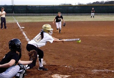 Image: Mo-mentum — Morgan “Mo” Cockerham tries to lay down a bunt against the Lady Bulldogs and keep the momentum on Italy’s side.