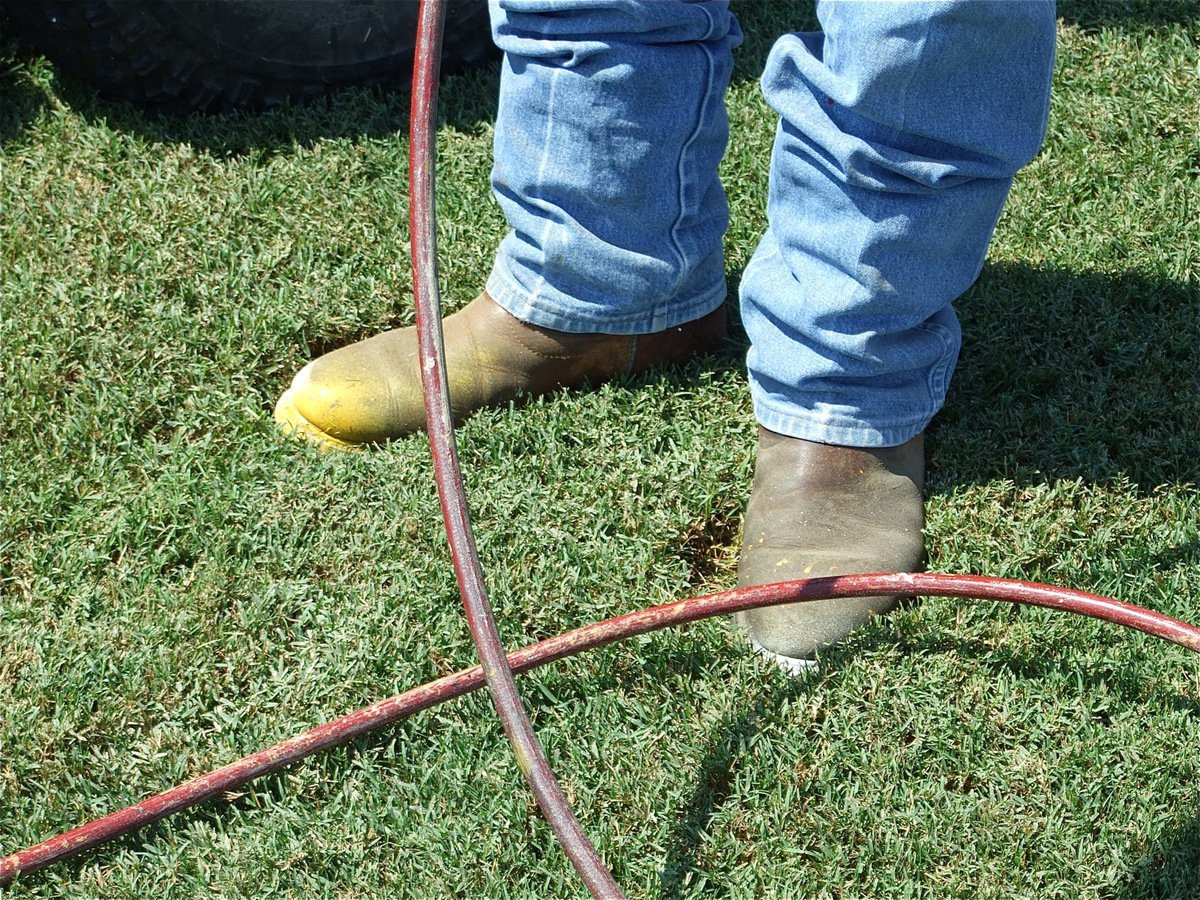 Image: Decorated boots — Curtis Riddle likes the his new gold and white tipped boots.