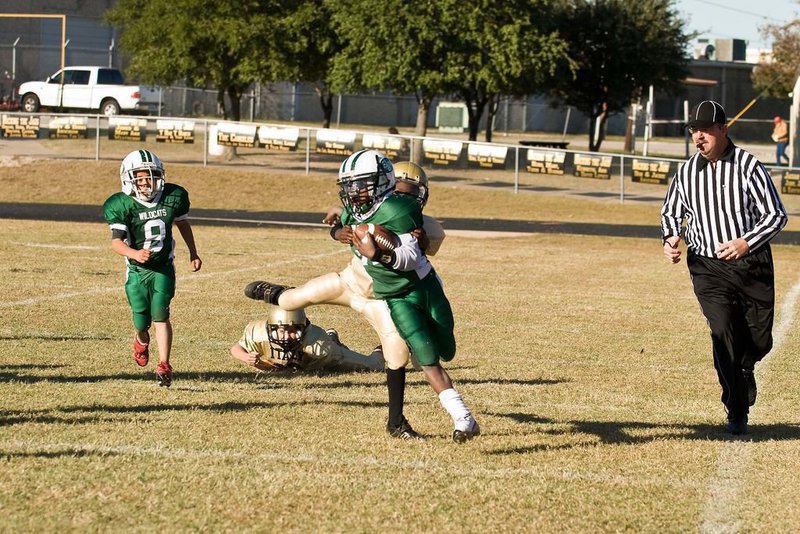 Image: Wildcat Loose — Italy’s defense tries to pen this runaway Wildcat against the sideline in Saturday’s game.