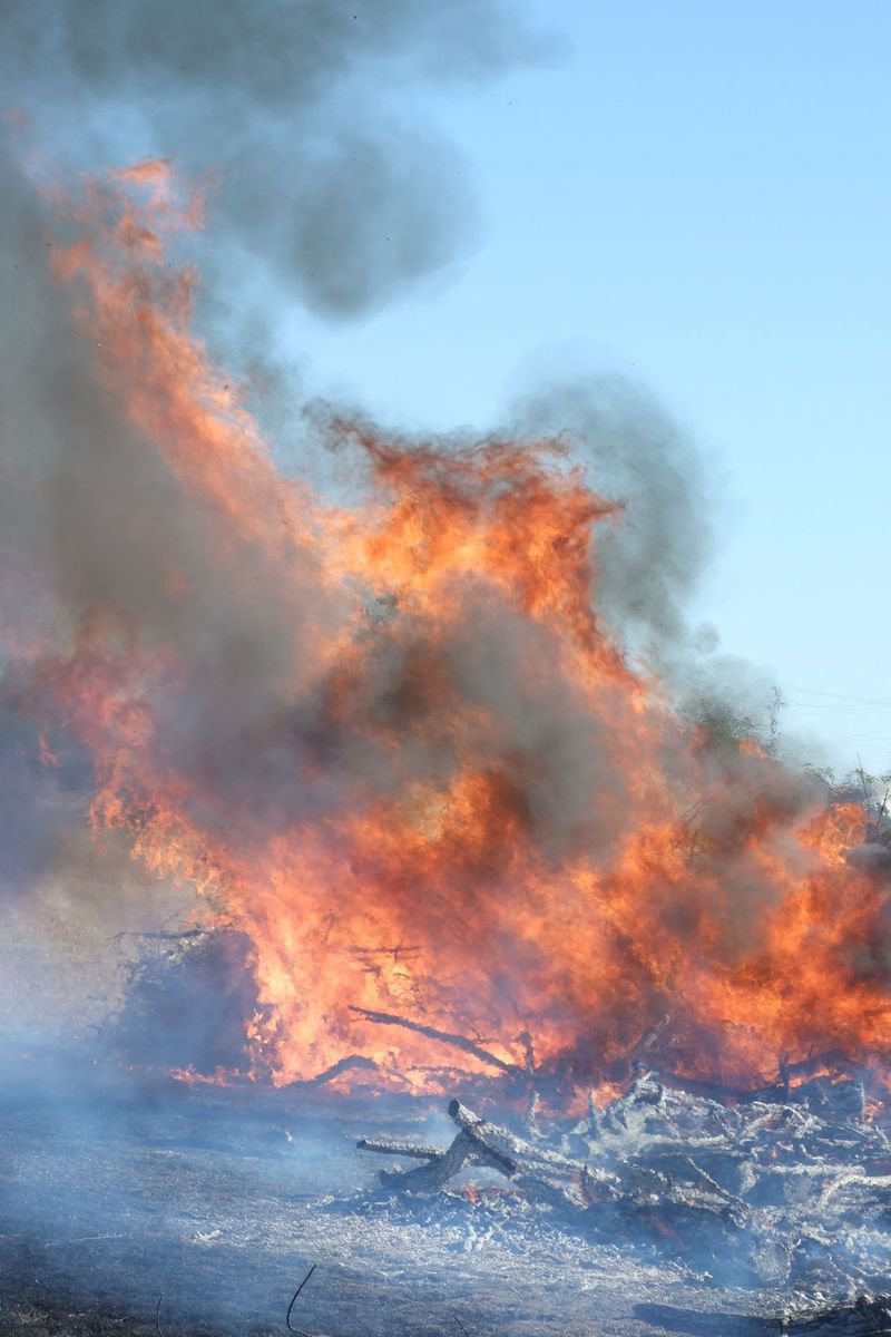 Image: The Fire Got Big — It was a little scary for awhile as the embers from the burn pile were caught by the wind.