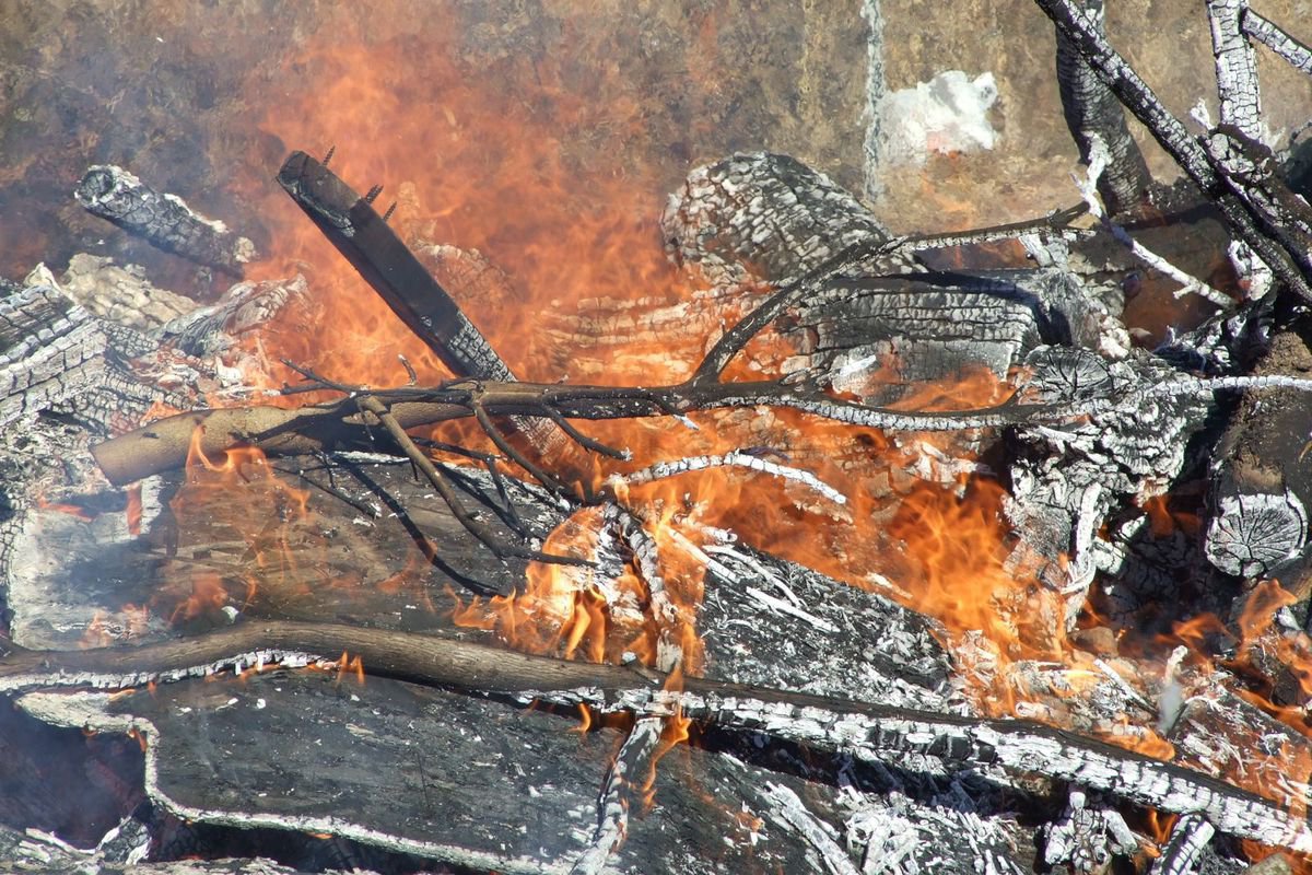 Image: The Contained Fire — The fire was contained after a short while with the help of the Italy Fire Department.