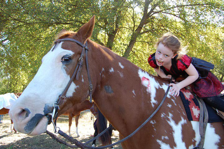 Image: Sadie Hinz of Italy — Sadie Hinz of Italy marked her horse as a victim of her vampire fangs.