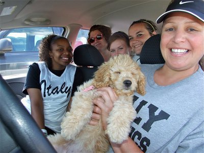 Image: We’re cool! — The Fab Four, coach Stacy McDonald and her puppy, “Livey”, cool off in coach’s car during the lunch break.